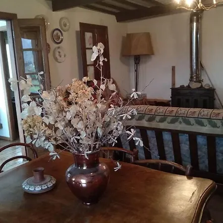 Casa Ribeira Sacra, Ourense, Ninodaguia, Galicia *